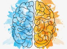Tipos de tumores cerebrales y diferencias entre ellos